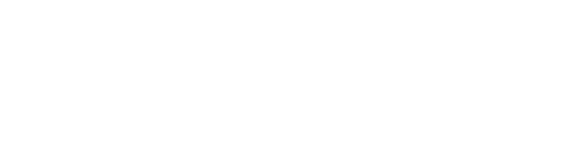 Vega Digital